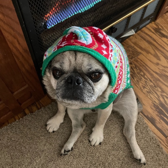 Meet your Posher, Lance - Picture 10 of 11